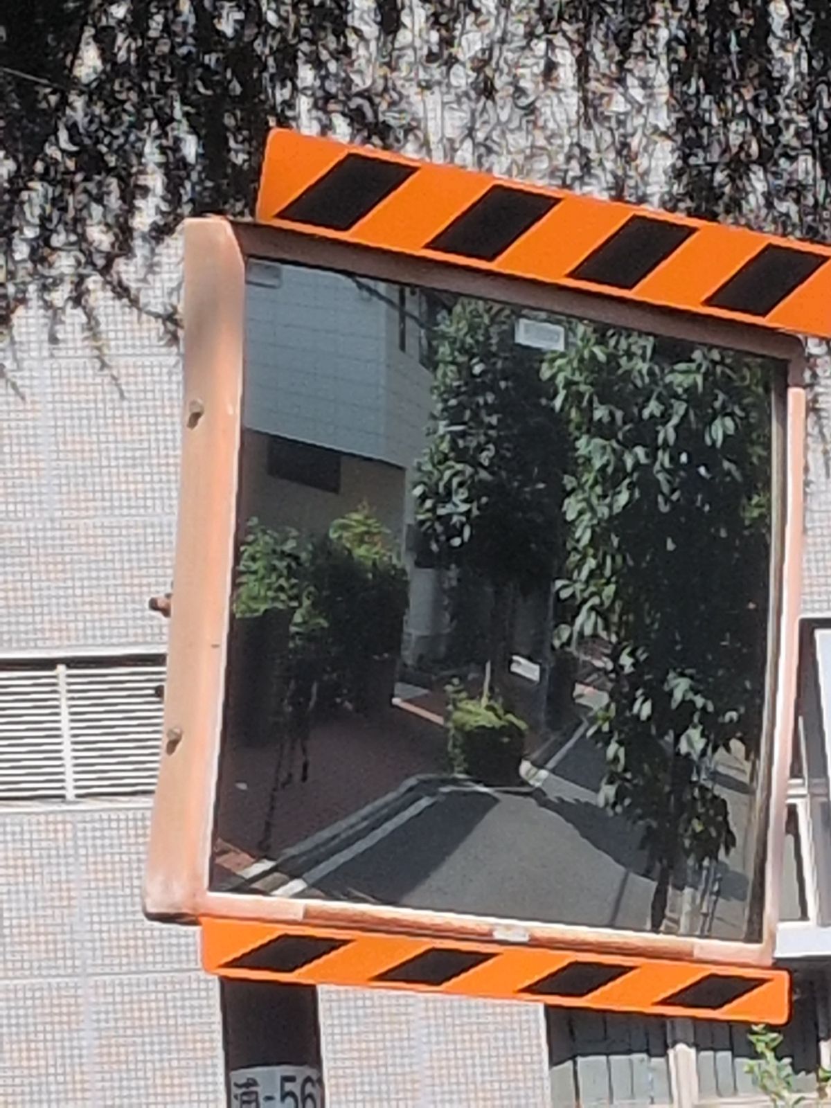 現場写真 3